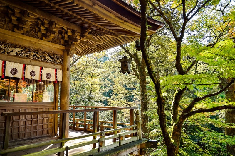 Mediterranean-Japanese Blend